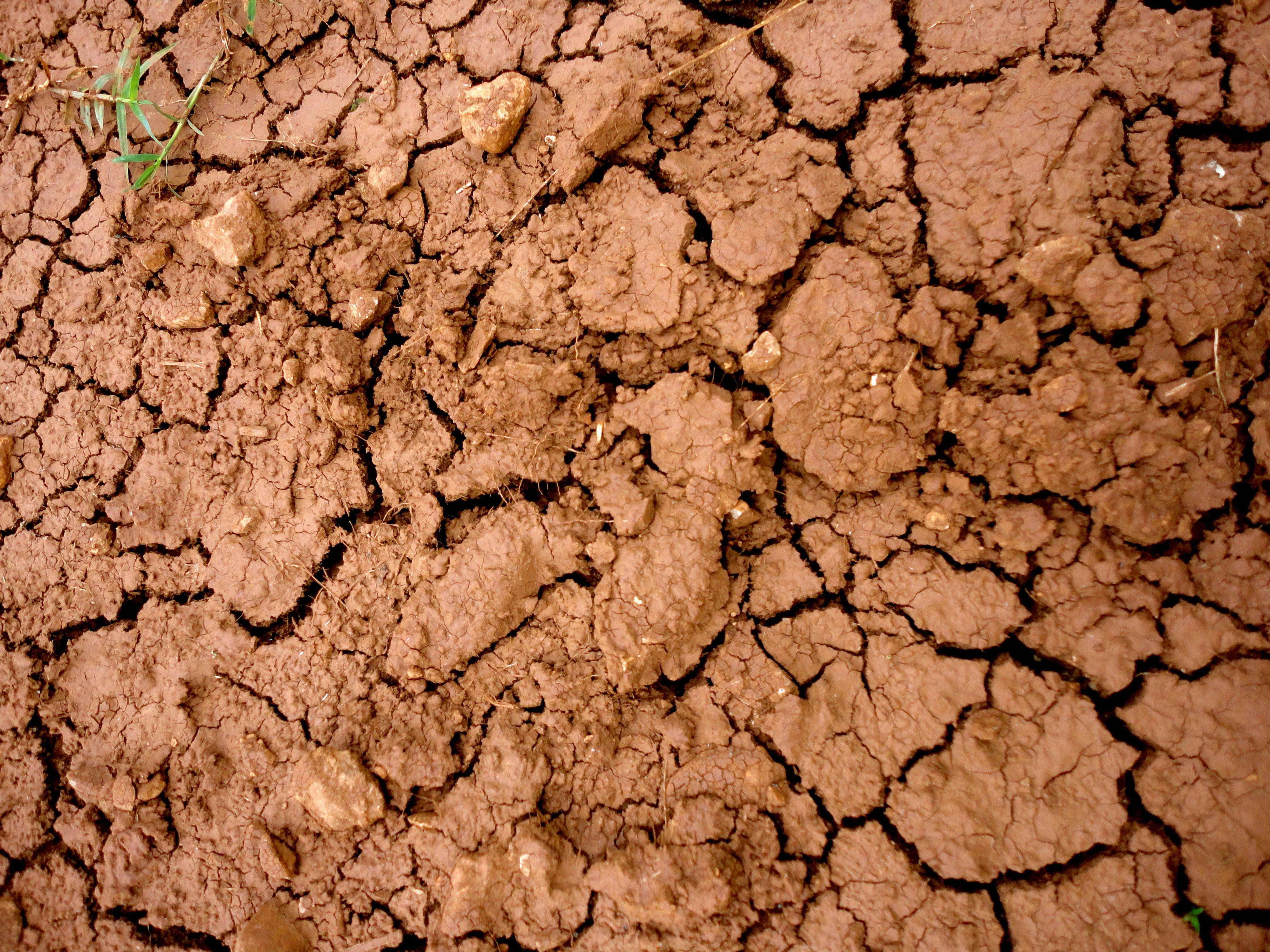Рыхлая порода 4. Глинистая, Песчаная, глинисто-Песчаная. Суглинок бурый. Почва. Глинистая почва.