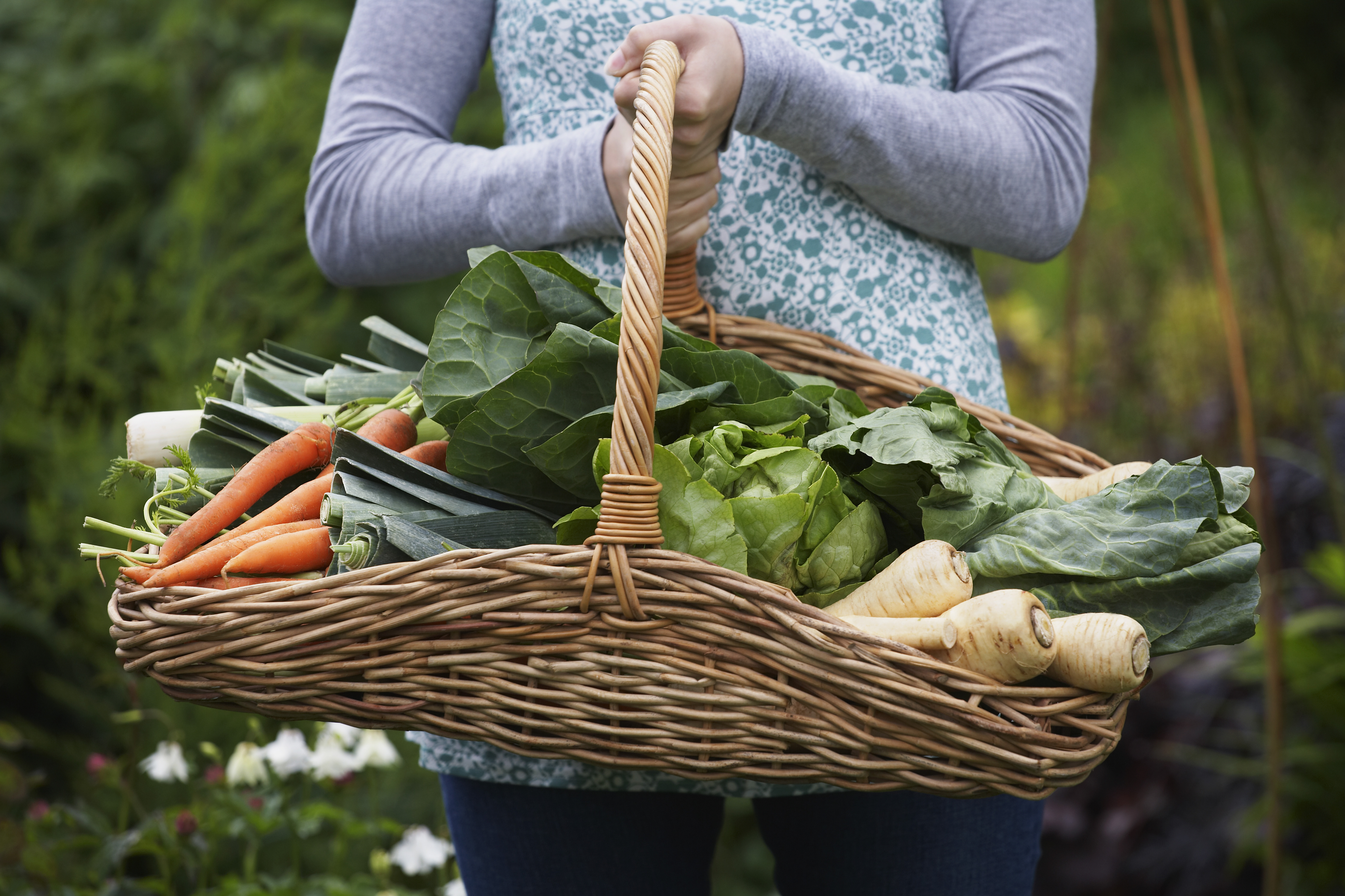 She like vegetables. Овощи с грядки здоровье в порядке. Овощи в корзине в руках в огороде. Овощи и деньги. Деньги на огороде.