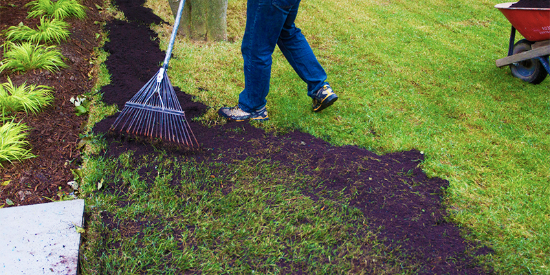 Topping soil deals for lawns