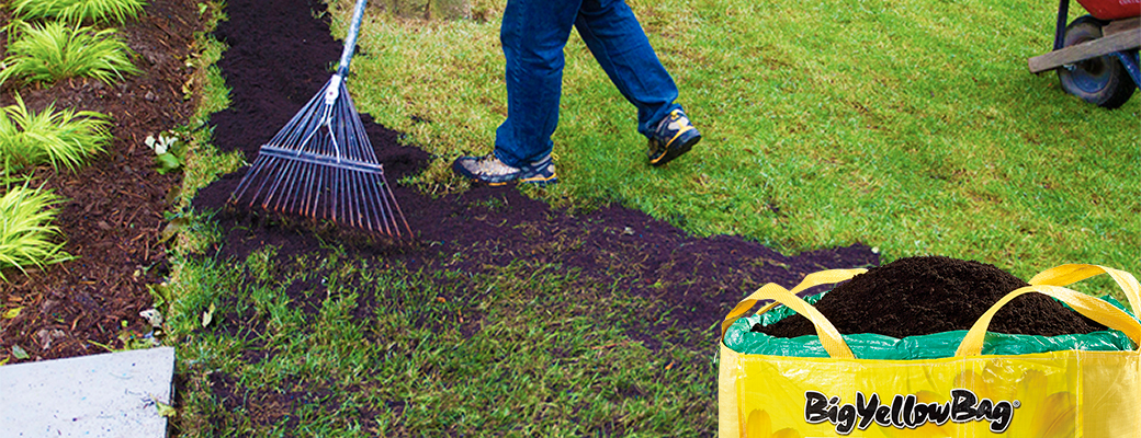 Overseeding lawn shop