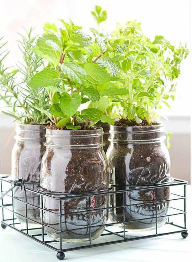 Mason Jars: Reduce, Reuse, Re-Garden » BigYellowBag Blog