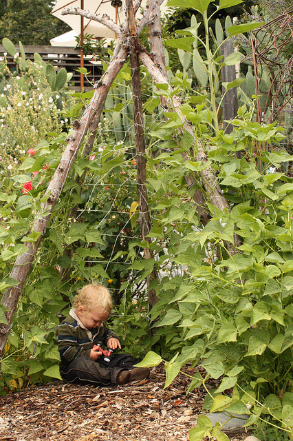Teepee Trellis: Your DIY Garden » BigYellowBag Blog's Best DIY Projects