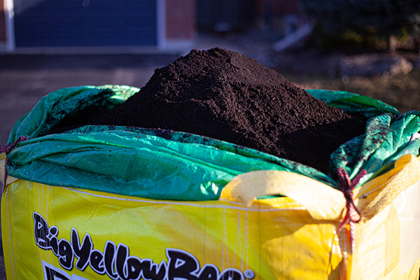 Manure in BigYellowBag's Black Garden Soil