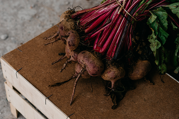 root vegetables beets