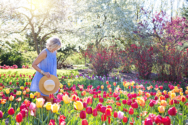 Summer Garden Tips with BigYellowBag 