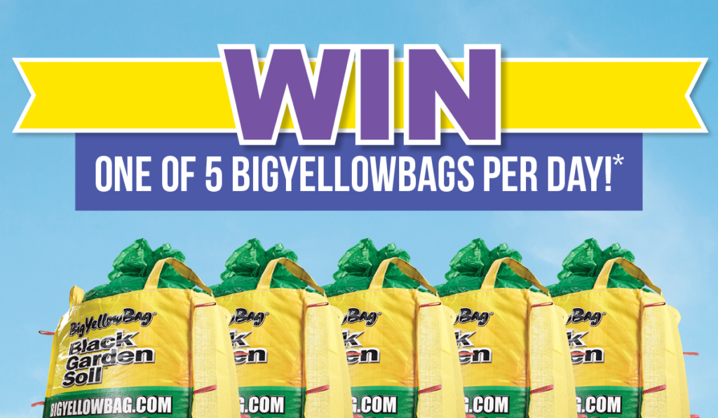 BlogWinABag2022 » BigYellowBag Blog