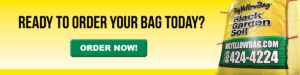 Ready to order your BigYellowBag today?!