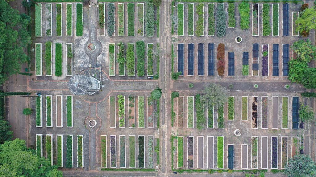 Garden Planning - Big Area with Raised Beds