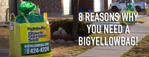 BigYellowBag Soil - 8 Reasons Why You Need a BigYellowBag!