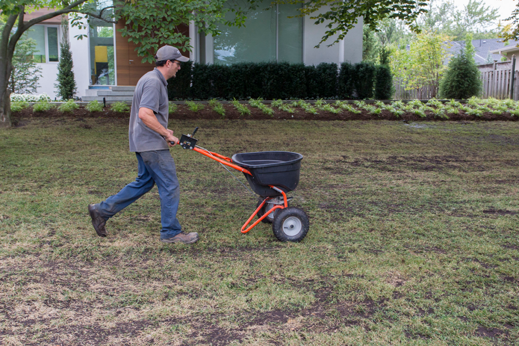 Fertilize your lawn this fall for a vibrant Spring green-up!