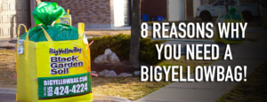 8 Reasons Why You Need a BigYellowBag!