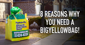 8 Reasons Why You Need a BigYellowBag!