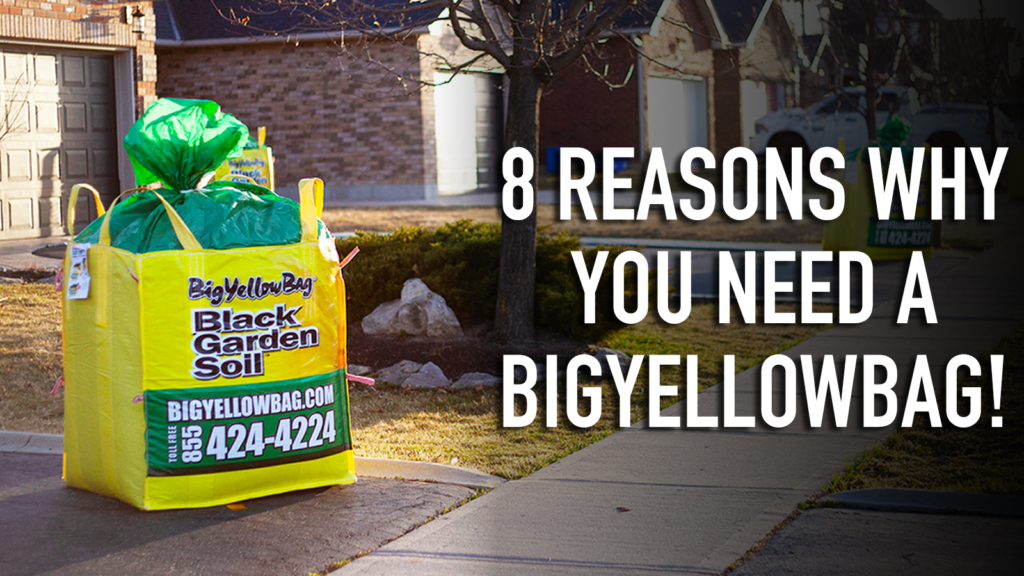 8_reasons_twitter » BigYellowBag Blog