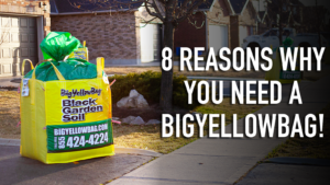 8 Reasons Why You Need a BigYellowBag!