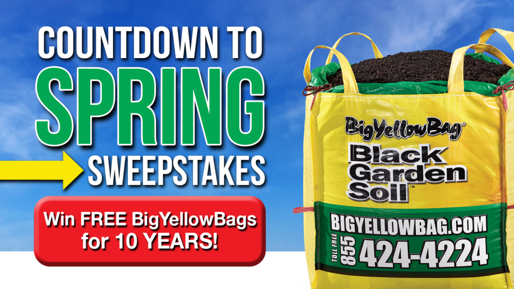 Countdown to Spring 2024 Twitter Blog Image » BigYellowBag Blog