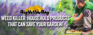Weed Killer: Household Products That Can Save Your Garden!