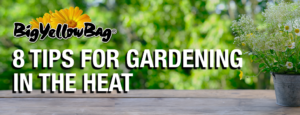 8 Tips for Gardening in The Heat