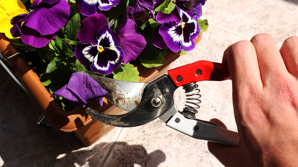 Heatwave deadheading