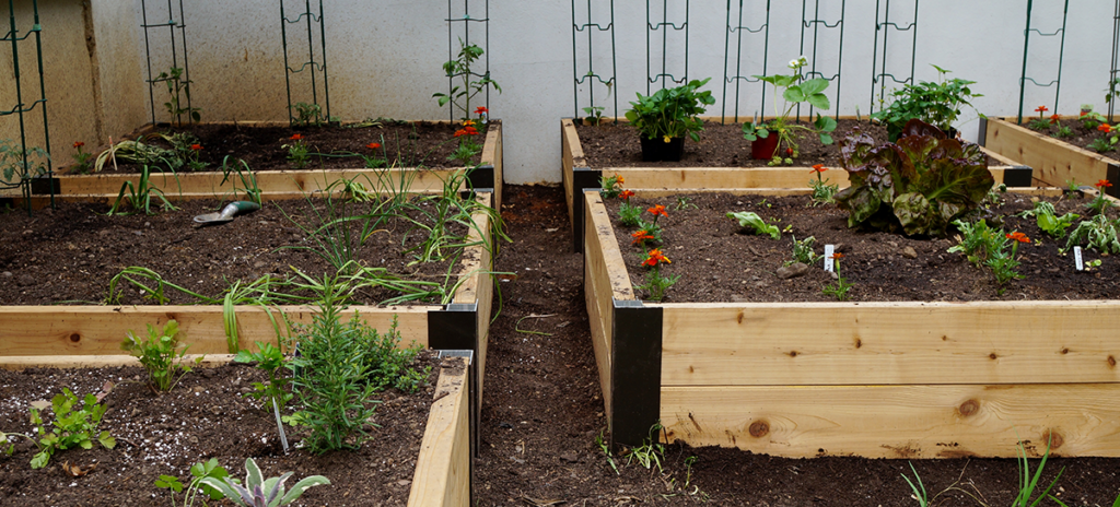 2025 Garden Beds