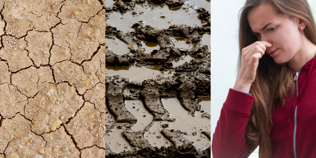 Dry soil, muddy soil, or stinky soil needs to be replaced! 