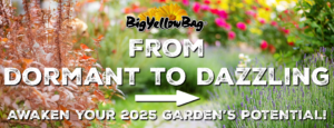 From Dormant to Dazzling: Awaken your 2025 Garden's Potential