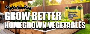 HOMEGROWN VEGETABLES