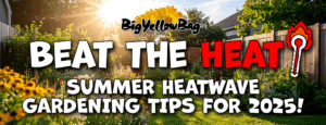 Beat the Heat with BigYellowBag!