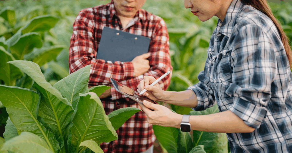 Monitor your garden closely so you can detect garden pests and diseases early!