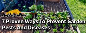 7 Proven Ways To Prevent Garden Pests And Diseases (Before They Destroy Your Vegetables, Flowers & More)