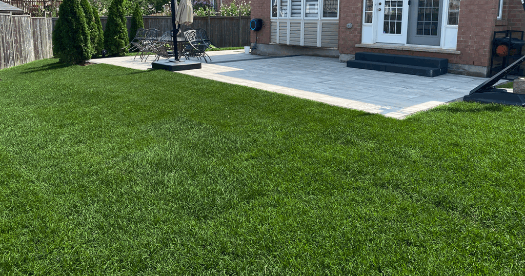 You'll end up with a beautiful lawn after topdressing with BigYellowBag!