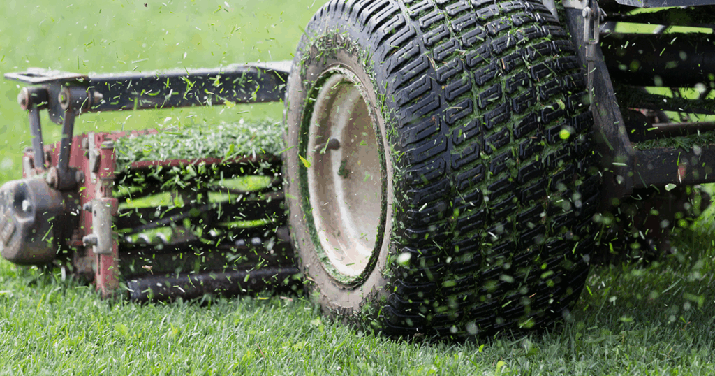 Mow your lawn before your topdress!