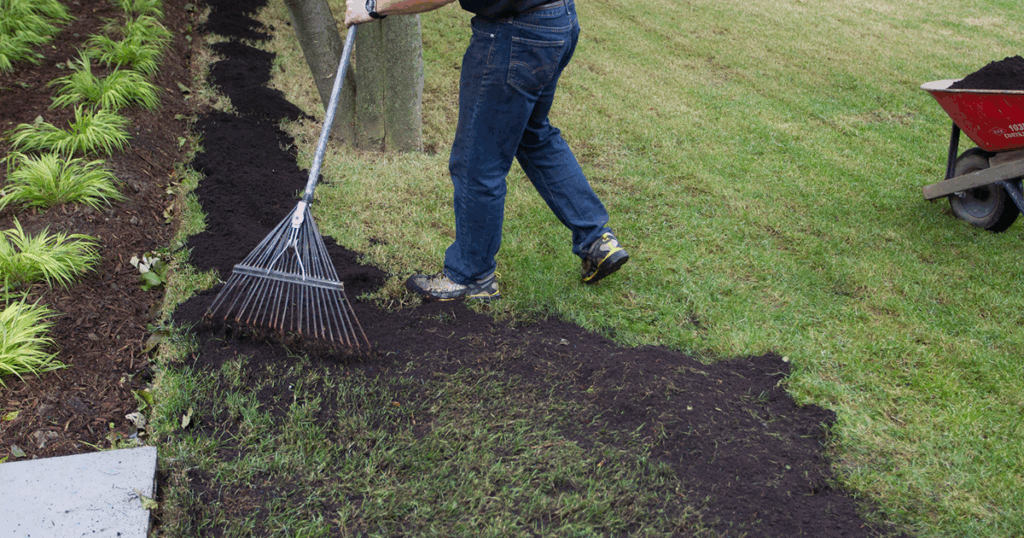 Rake the Black Garden Soil into your lawn, being sure to leave most grass blades sticking up through the soil