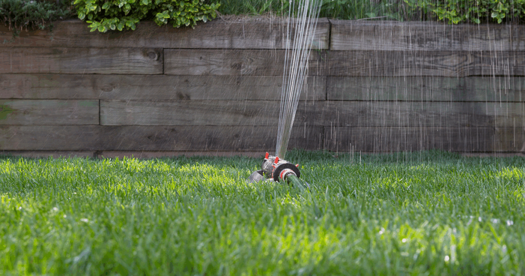 Water your newly topdressed lawn if rain isn't in the forecast