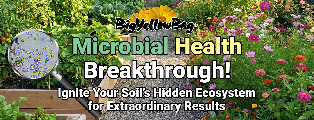 Microbial Health Breakthrough!