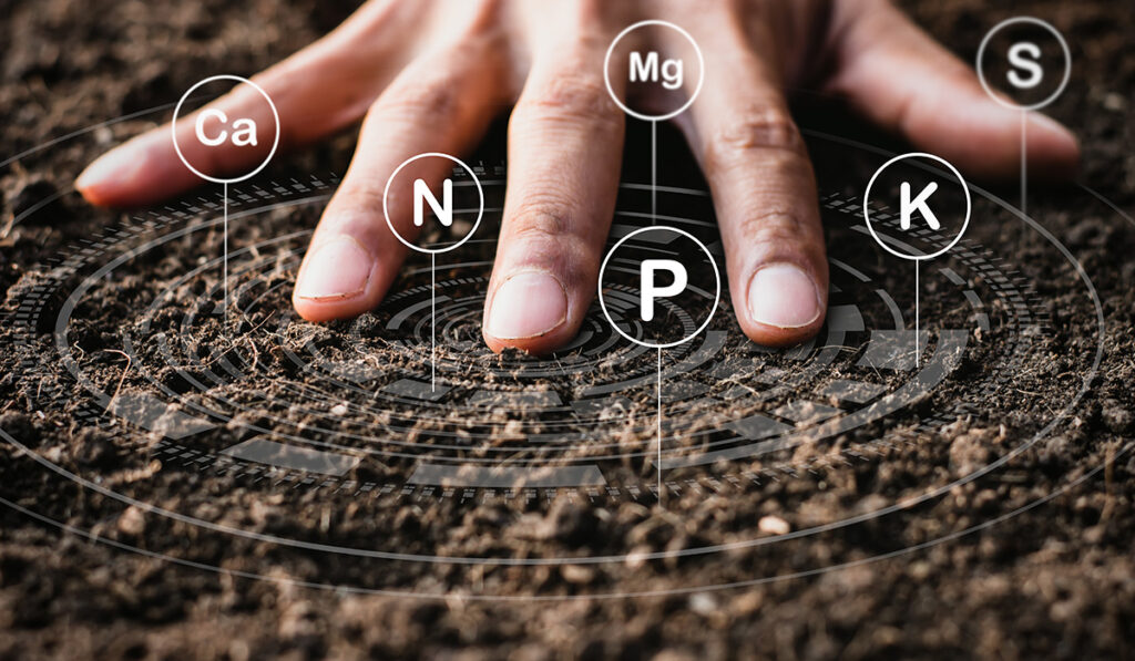 Humus helps to unlock all the nutrients in your soil, and make them plant-available!