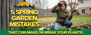 5 Spring Garden Mistakes That Can Make of Break Your Plants!