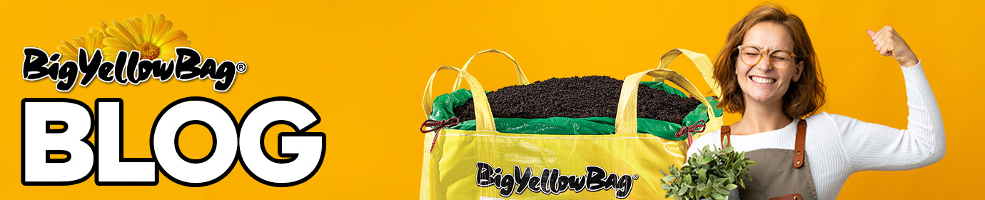 BigYellowBag Blog