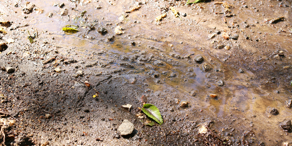 Not all soil is created equal