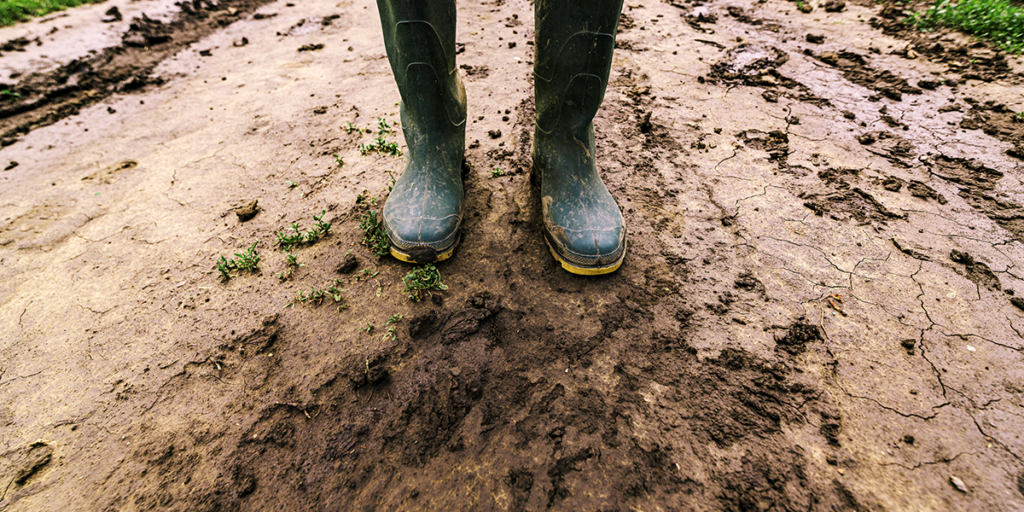 Spring Garden Mistakes happen. But here's some ways to avoid them!